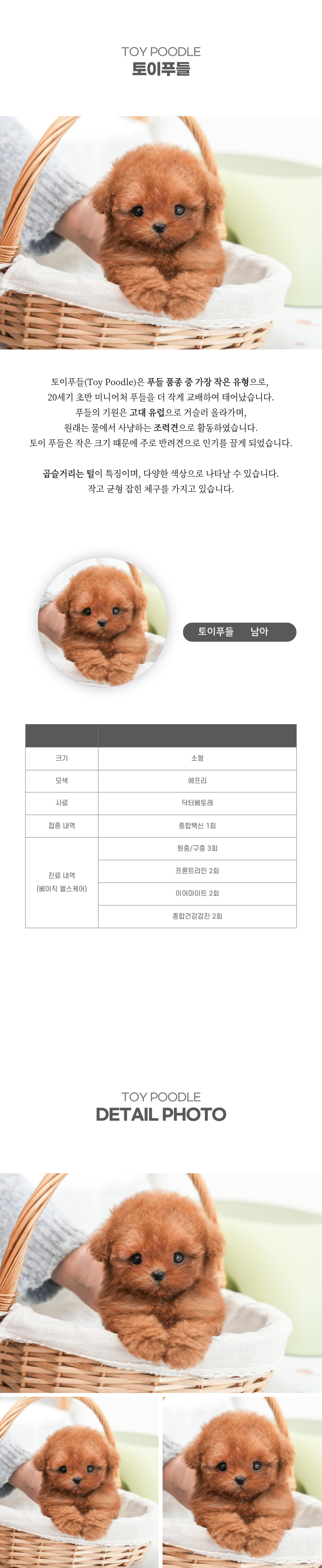 토이푸들_상세이미지_2